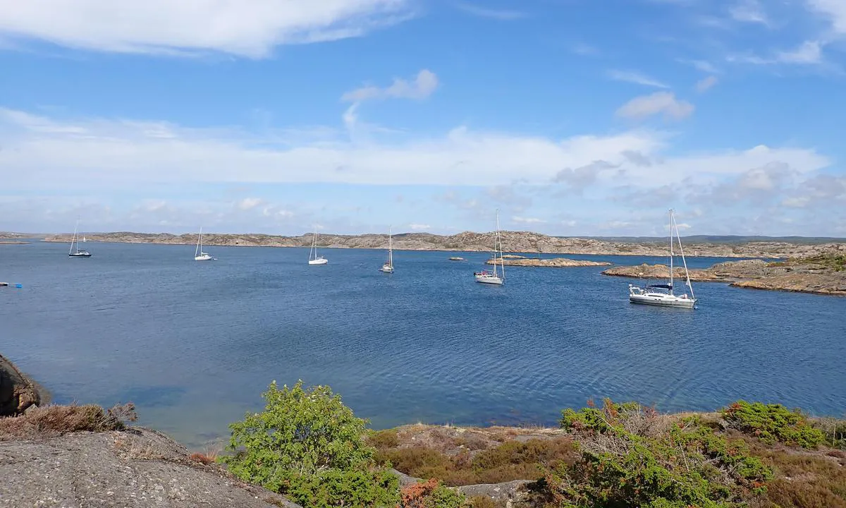 Flott plass å ankre eller ligge på SXK bøye. Mye gress på grunna, best på 8-10m eller dypere. Fin gåtur til Gullholmen. Härmanö har masse fine turstier.