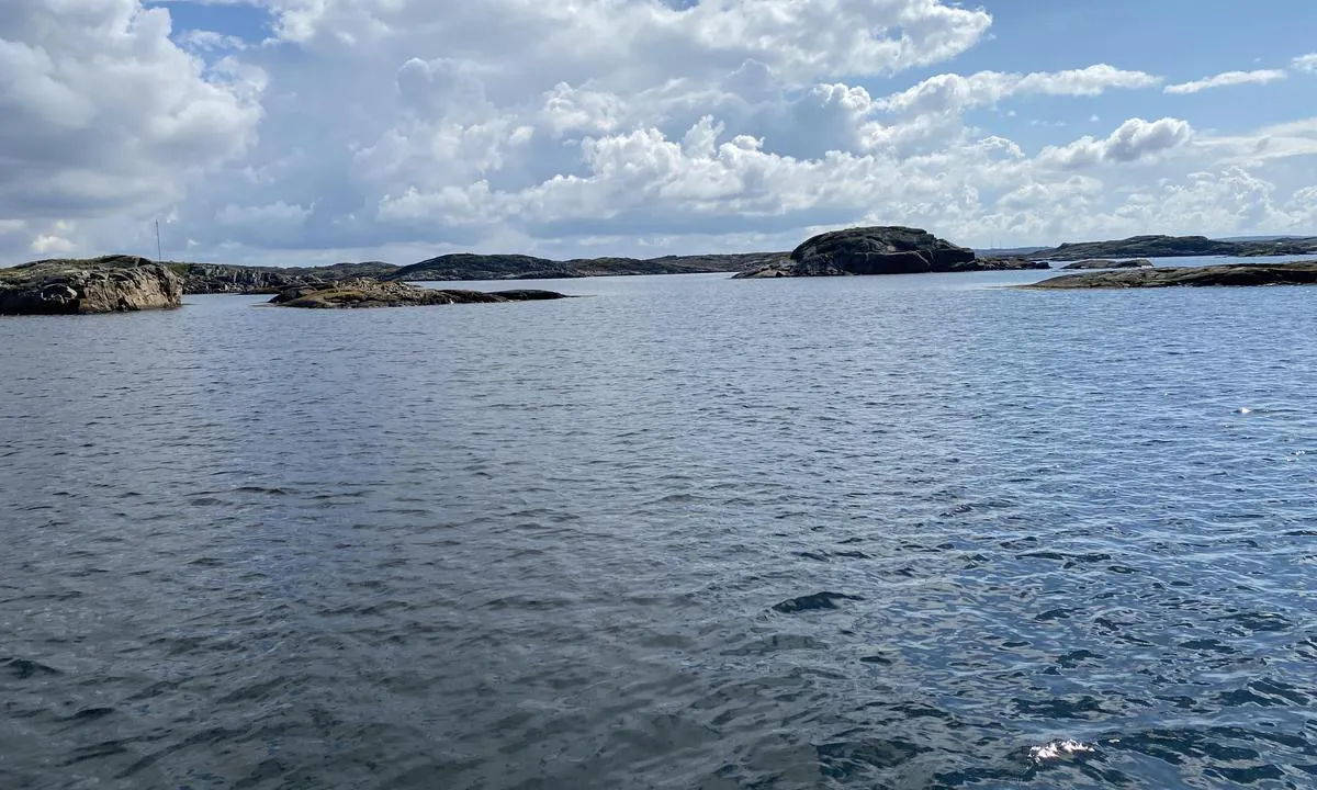 Härön - Hisingsviken: {"base": "no", "no": "Mot \u00f8st , sm\u00e5skj\u00e6r som beskyttet mot b\u00f8lger fra alle retninger unntatt SS\u00d8", "se": "Mot \u00f6ster, sm\u00e5sk\u00e4r som skyddar mot v\u00e5gor fr\u00e5n alla riktningar utom SS\u00d6", "en": "To the east, small skerries provide protection from waves coming from all directions except SSW", "da": "Mod \u00f8st, sm\u00e5sk\u00e6r som beskyttede mod b\u00f8lger fra alle retninger undtagen SSV"}