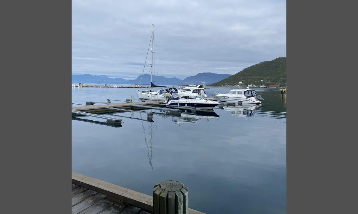 Harstad Gjestehavn: {"base": "no", "no": "Fine b\u00e5ser \u00e5 ligge i med str\u00f8mm \u00e5 vann", "se": "Fina platser att ligga i med str\u00f6m och vatten", "en": "Nice berths to lie in with electricity and water", "da": "Fine b\u00e5se at ligge i med str\u00f8m og vand"}