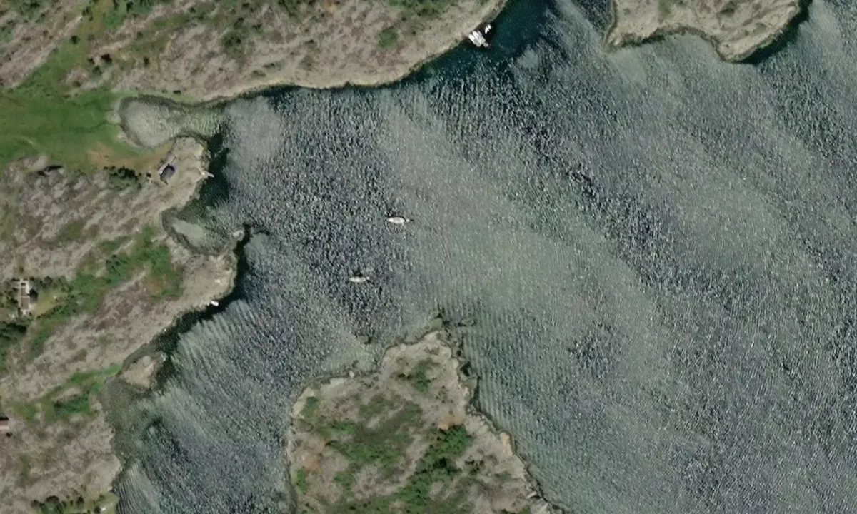 Flyfoto av Hastholmen - SXK Västkust bouy