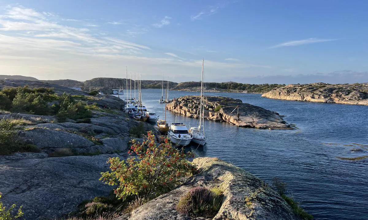 Hästvam: {"base": "no", "no": "Havnen gir god le i sterk s\u00f8rvestlig vind, som her.", "se": "Hamnen ger bra skydd vid stark sydv\u00e4stlig vind, som h\u00e4r.", "en": "The harbour provides good shelter in strong southwesterly winds, like here.", "da": "Havnen giver god l\u00e6 i st\u00e6rk sydvestlig vind, som her."}