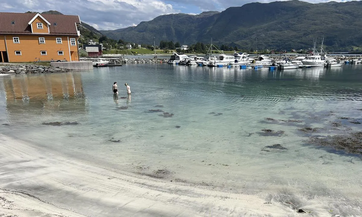 Hauge: {"base": "da", "no": "Badeomr\u00e5de", "se": "Badanl\u00e4ggning", "en": "Swimming area", "da": "Badeomr\u00e5de"}