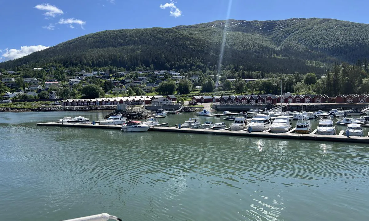 Hauknes marina