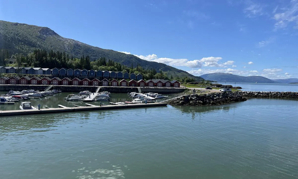 Hauknes marina