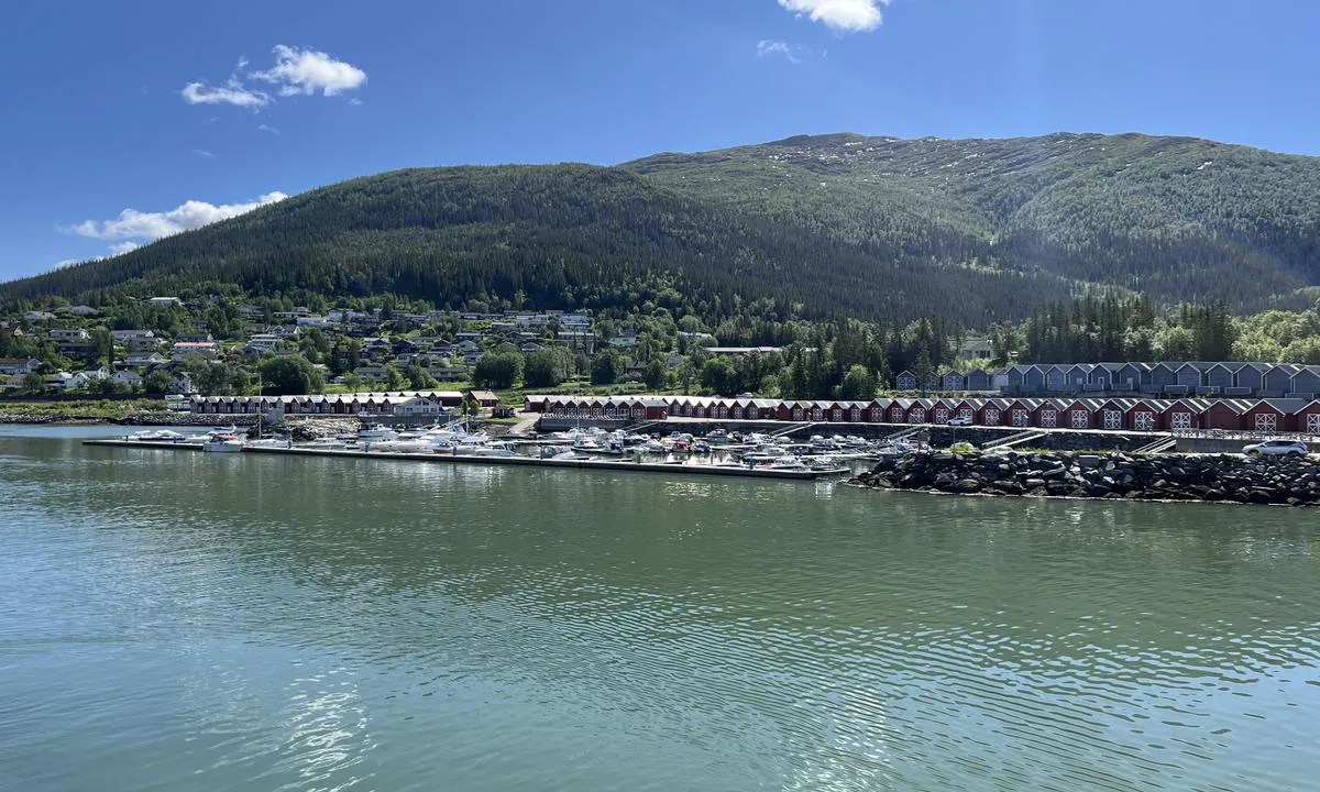 Hauknes marina