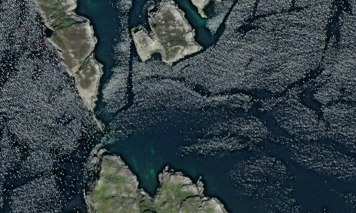 Satelite image of Haverøyane