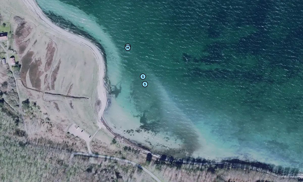 Satelite image of Havnemark vig bouy