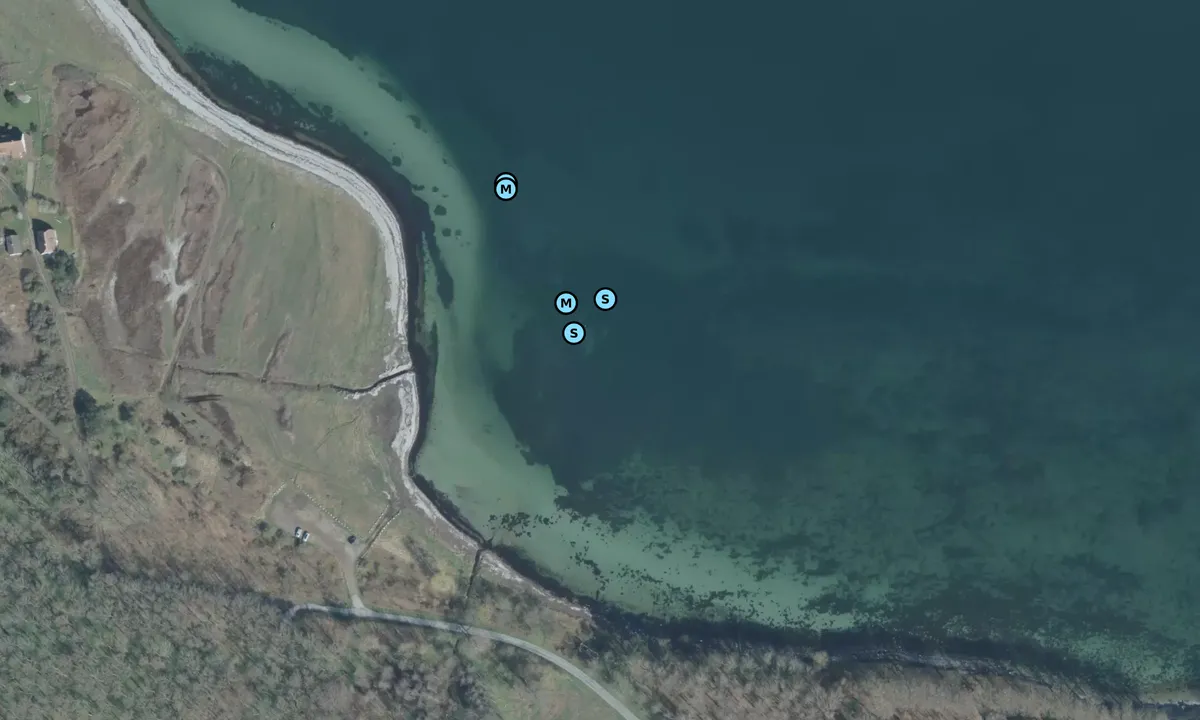 Satelite image of Havnemark vig bouy