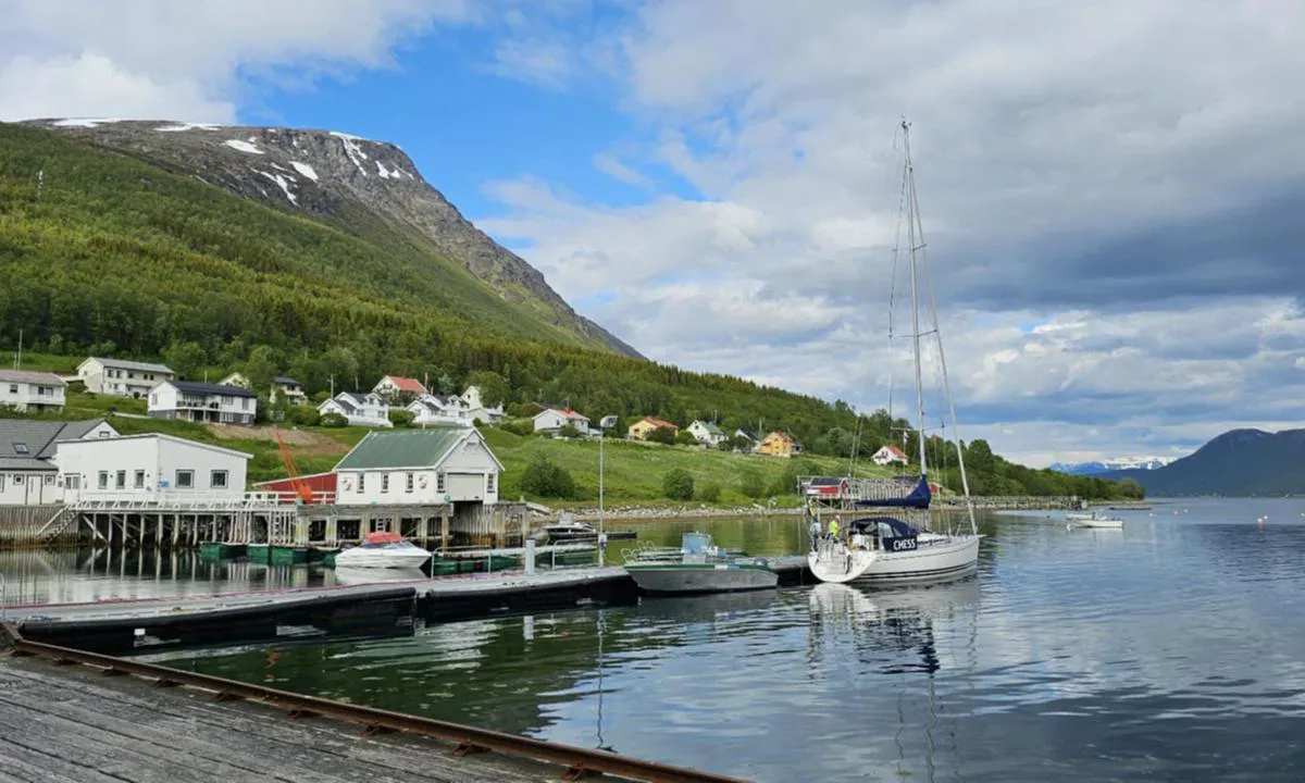 Havnnes