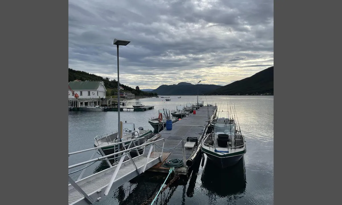 Havnnes: Bildet viser flytebrygga. siden inne i havna brukes til privat næring, mens høyresiden (sett fra denne vinkelen) er gjestekai

Foto: Christian H B Giæver