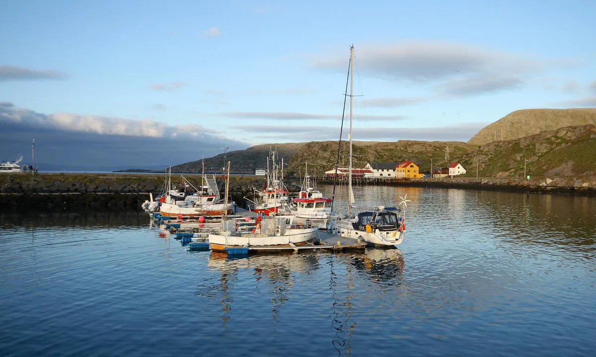 Havøysund: Gjestebrygga ligger midt i leia, med fortøyning longside.