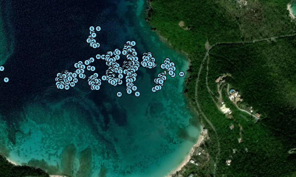 Satelite image of Hawksnest Bay (Moorings)