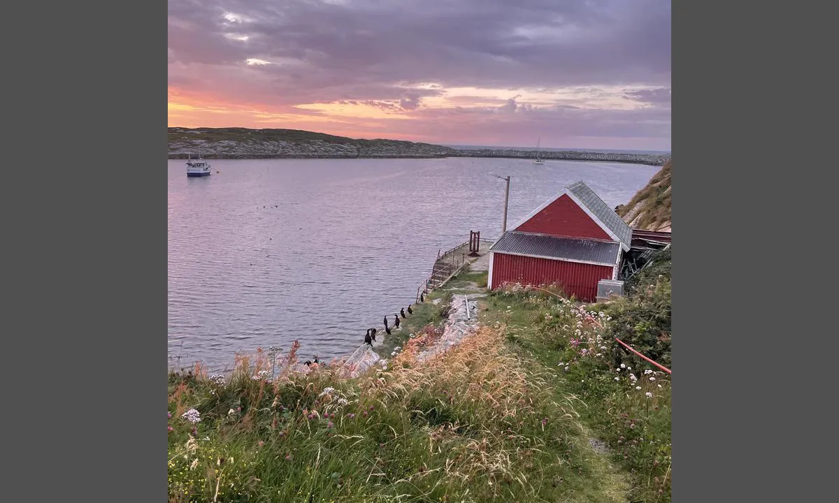 Heimøya - Sklinna Fyr: Tre bøyer nedfor naturreservatet