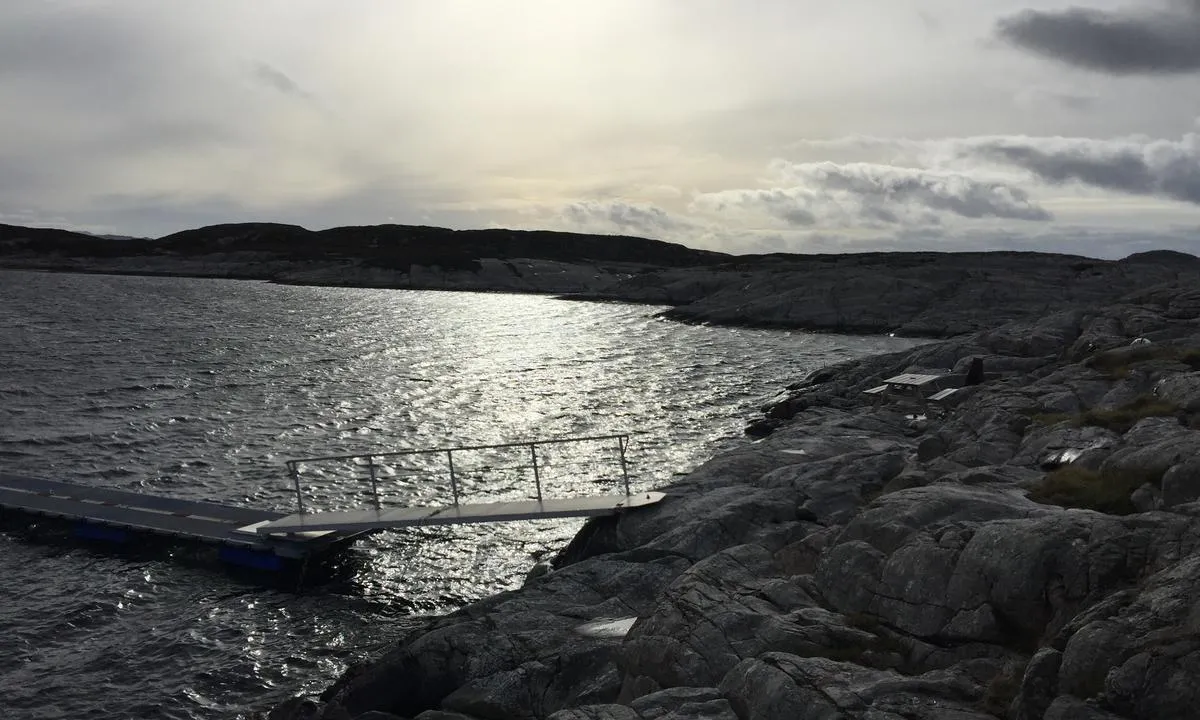 Skogsøy: {"base": "no", "no": "Omr\u00e5det sett mot s\u00f8rvest.", "se": "Omr\u00e5det sett mot sydv\u00e4st.", "en": "The area seen towards the southwest.", "da": "Omr\u00e5det set mod sydvest."}
