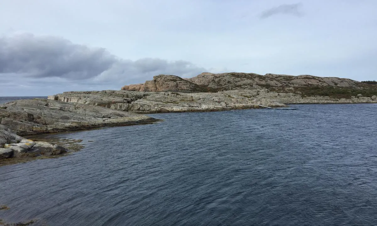 Skogsøy: {"base": "no", "no": "Omr\u00e5det sett mot norvest, Skogs\u00f8ytuva og havet i bakgrunnen.", "se": "Omr\u00e5det sett mot nordv\u00e4st, Skogs\u00f6ytuva och havet i bakgrunden.", "en": "The area seen towards the northwest, Skogs\u00f8ytuva and the sea in the background.", "da": "Omr\u00e5det set mod nordvest, Skovs\u00f8ytuva og havet i baggrunden."}