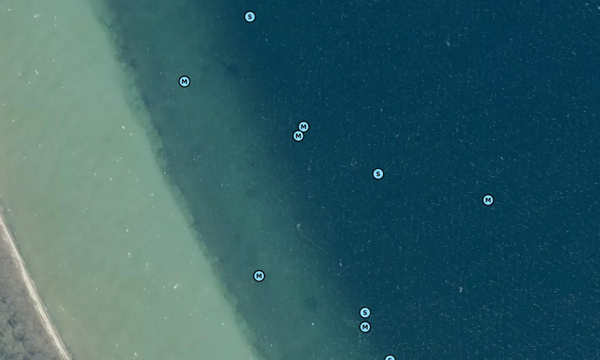 Flyfoto av Helnæs Skov bouy