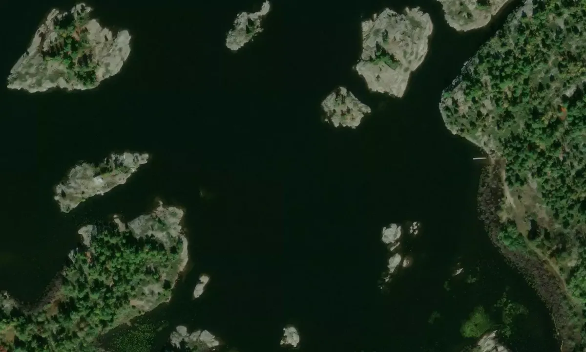 Satelite image of Henvey Inlet Cove