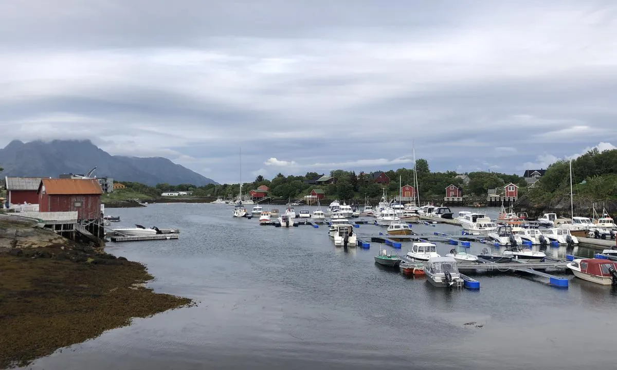 Herøysundet Marina: Gjestebrygge ytterst til høyre, også en mulighet htterst t.v der seilbåten ligger.
Fra nord er det en bro i innseilingen som seilbåter må ta høyde for.