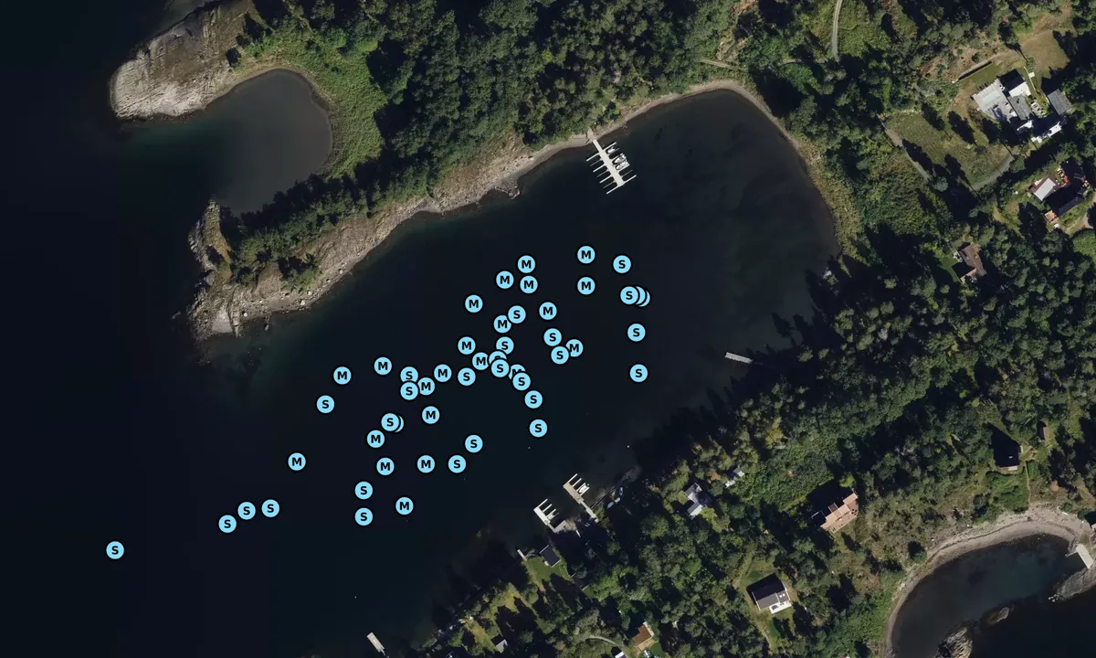 Satelite image of Hesthagabukta