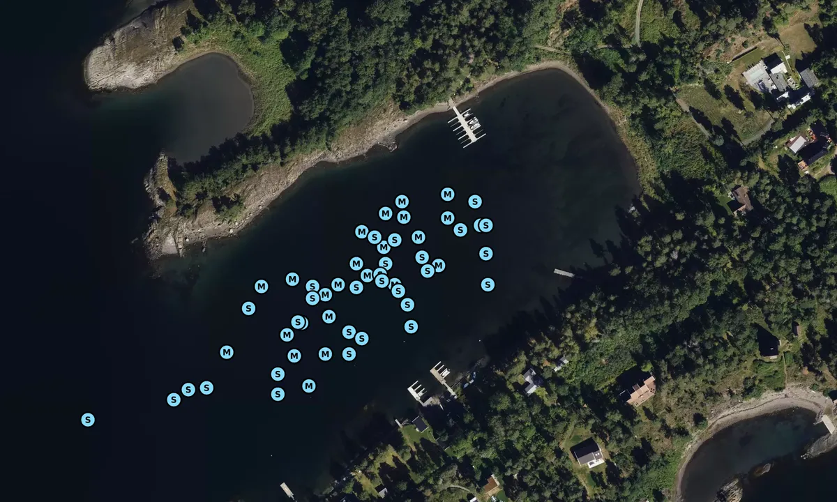 Satelite image of Hesthagabukta