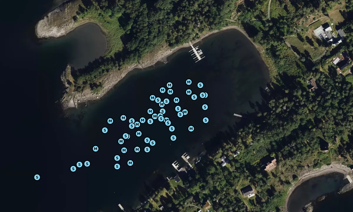 Satelite image of Hesthagabukta