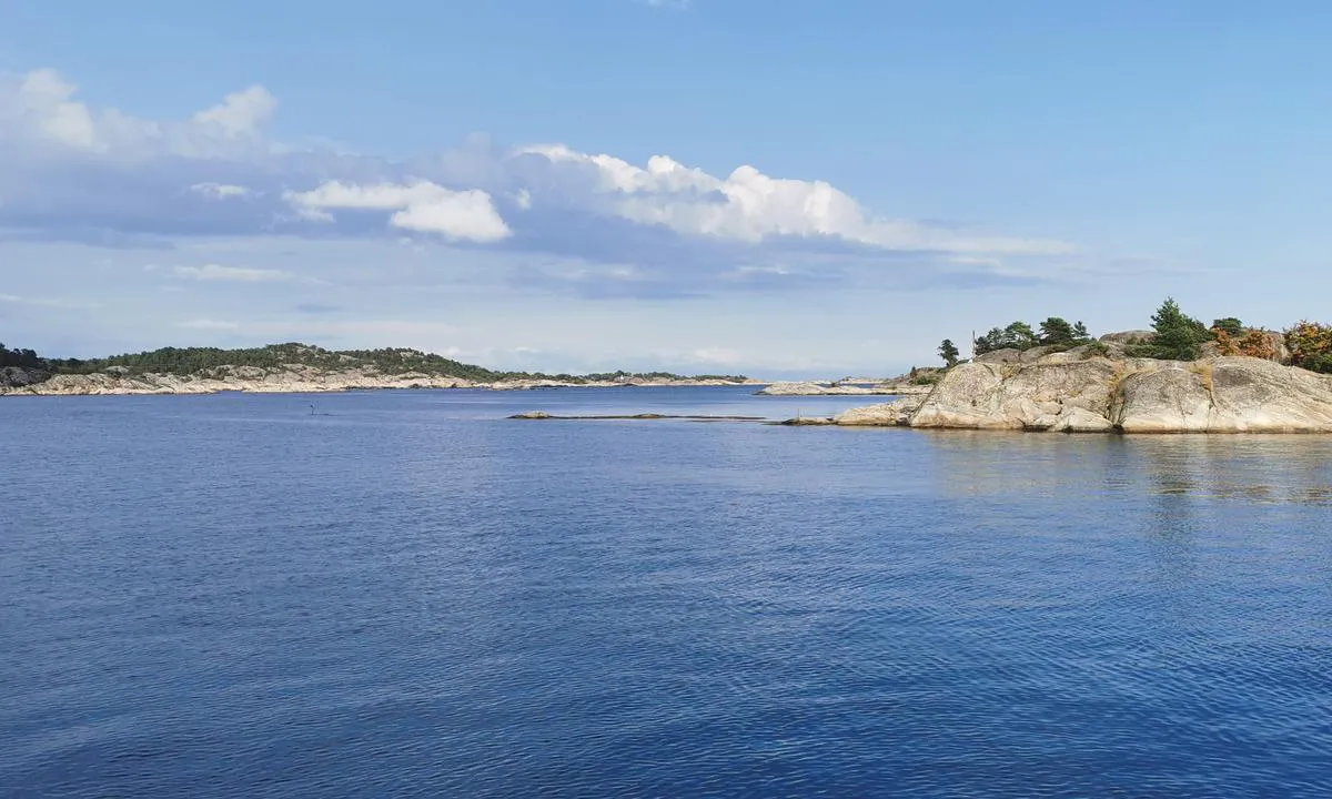 Hestholmbukta: {"base": "no", "no": "Sett innenfra ankringsplassen og ut mot innseilinga. Sjekk kart - grunner som seilb\u00e5ter ikke liker p\u00e5 babord side n\u00e5r du seiler inn. St\u00e5r i annen havneguide at det er lagt ut ei moringsb\u00f8ye i den sydlige bukta, men vi fant den ikke (13. aug 2021).", "se": "Sett inifr\u00e5n ankringsplatsen och ut mot inseglingen. Kontrollera kartan - grund som segelb\u00e5tar inte gillar p\u00e5 babordssidan n\u00e4r du seglar in. Det st\u00e5r i en annan hamnguide att en f\u00f6rt\u00f6jningsboj har lagts ut i den s\u00f6dra bukten, men vi hittade den inte (13 aug 2021).", "en": "Viewed from inside the anchorage and out towards the entrance. Check the chart - shoals that sailboats do not like to port side when you are sailing in. It is mentioned in another harbour guide that a mooring buoy has been placed in the southern bay, but we did not find it (13 Aug 2021).", "da": "Set indefra ankerpladsen og ud mod indsejlingen. Tjek kortet - grundst\u00f8dning som sejlb\u00e5de ikke kan lide p\u00e5 bagbord side, n\u00e5r du sejler ind. I en anden havneguide st\u00e5r der, at der er lagt en fort\u00f8jningsb\u00f8je ud i den sydlige bugt, men vi fandt den ikke (13. aug 2021)."}