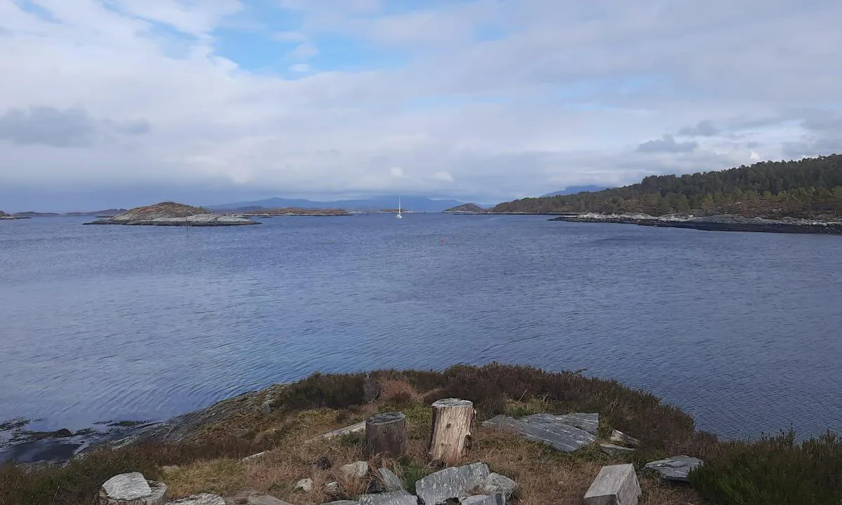Hestøya - Vinsternes