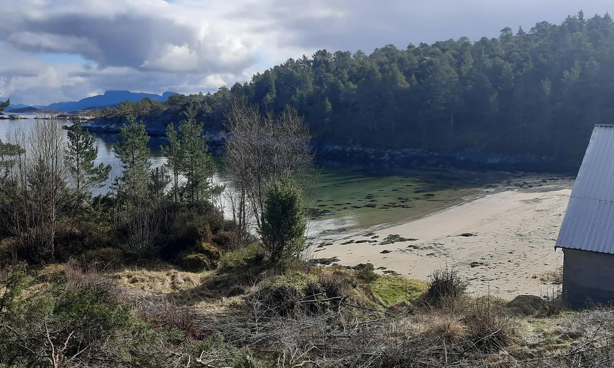 Hestøya - Vinsternes: {"base": "fr", "no": "Vakre hvite sandstrender ligger \u00f8st for ankringsplassen.", "se": "Vacker vit sandstrand bel\u00e4gen \u00f6ster om ankringsplatsen.", "en": "Beautiful white sand beach located to the East of the anchorage.", "da": "Smuk hvid sandstrand beliggende \u00f8st for ankerpladsen.", "fr": "Belle plage de sable blanc situ\u00e9e \u00e0 l\u2019Est du mouillage.", "de": "Sch\u00f6ner wei\u00dfer Sandstrand \u00f6stlich des Ankerplatzes gelegen.", "es": "Hermosa playa de arena blanca situada al Este del fondeadero.", "it": "Bella spiaggia di sabbia bianca situata a est dell'ancoraggio.", "pt": "Linda praia de areia branca localizada a leste da ancoragem.", "nl": "Mooi wit zandstrand gelegen ten oosten van de ankerplaats.", "pl": "Pi\u0119kna pla\u017ca z bia\u0142ym piaskiem po\u0142o\u017cona na wschodzie kotwicowiska.", "uk": "\u0413\u0430\u0440\u043d\u0438\u0439 \u043f\u043b\u044f\u0436 \u0437 \u0431\u0456\u043b\u0438\u043c \u043f\u0456\u0441\u043a\u043e\u043c, \u0440\u043e\u0437\u0442\u0430\u0448\u043e\u0432\u0430\u043d\u0438\u0439 \u043d\u0430 \u0441\u0445\u0456\u0434 \u0432\u0456\u0434 \u044f\u043a\u0456\u0440\u043d\u043e\u0457 \u0441\u0442\u043e\u044f\u043d\u043a\u0438.", "ro": "Plaj\u0103 frumoas\u0103 cu nisip alb situat\u0103 la est de ancoraj.", "tr": "Demirleme yerinin do\u011fusunda bulunan g\u00fczel beyaz kumlu plaj.", "el": "\u038c\u03bc\u03bf\u03c1\u03c6\u03b7 \u03c0\u03b1\u03c1\u03b1\u03bb\u03af\u03b1 \u03bc\u03b5 \u03bb\u03b5\u03c5\u03ba\u03ae \u03ac\u03bc\u03bc\u03bf \u03c0\u03bf\u03c5 \u03b2\u03c1\u03af\u03c3\u03ba\u03b5\u03c4\u03b1\u03b9 \u03c3\u03c4\u03b1 \u03b1\u03bd\u03b1\u03c4\u03bf\u03bb\u03b9\u03ba\u03ac \u03c4\u03bf\u03c5 \u03b1\u03b3\u03ba\u03c5\u03c1\u03bf\u03b2\u03bf\u03bb\u03af\u03bf\u03c5.", "cs": "Kr\u00e1sn\u00e1 b\u00edl\u00e1 p\u00edse\u010dn\u00e1 pl\u00e1\u017e se nach\u00e1z\u00ed na v\u00fdchod od kotvi\u0161t\u011b.", "hu": "Sz\u00e9p, feh\u00e9r homokos strand a horgonyz\u00f3helyt\u0151l keletre.", "fi": "Kaunis valkoinen hiekkaranta, joka sijaitsee ankkuripaikan it\u00e4puolella.", "bg": "\u041a\u0440\u0430\u0441\u0438\u0432\u0430 \u043f\u043b\u0430\u0436 \u0441 \u0431\u044f\u043b \u043f\u044f\u0441\u044a\u043a, \u0440\u0430\u0437\u043f\u043e\u043b\u043e\u0436\u0435\u043d \u043d\u0430 \u0438\u0437\u0442\u043e\u043a \u043e\u0442 \u043a\u043e\u0442\u0432\u0435\u043d\u043e\u0442\u043e \u043c\u044f\u0441\u0442\u043e.", "sr": "Lepa pla\u017ea sa belim peskom nalazi se na istoku sidri\u0161ta.", "et": "Kauni valge liivaga rand, mis asub ankruplatsist idas.", "lv": "Skaista balto smil\u0161u pludmale, kas atrodas uz austrumiem no enkura vietas.", "lt": "Gra\u017eus balto sm\u0117lio papl\u016bdimys \u012fsik\u016br\u0119s \u012f rytus nuo inkaravimo vietos."}