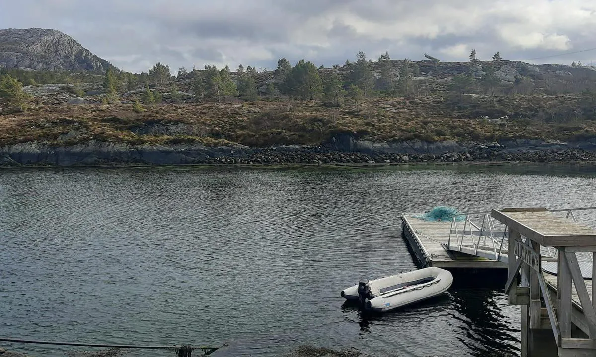 Hestøya - Vinsternes