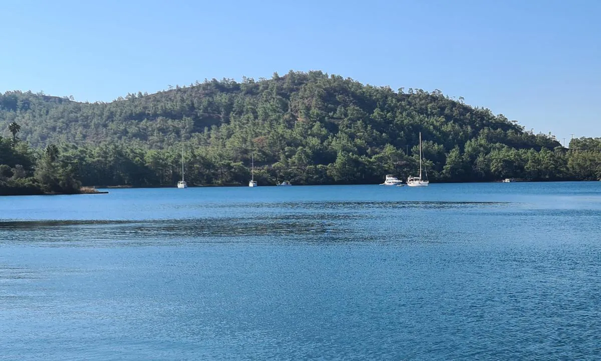 Hisarönü: {"base": "en", "no": "utsikt fra den nordlige bredden av bukten", "se": "utsikt fr\u00e5n den norra stranden av bukten", "en": "view from the norther shore of the bay", "da": "udsigt fra den nordlige kyst af bugten", "fr": "vue depuis la rive nord de la baie", "de": "Blick von der n\u00f6rdlichen K\u00fcste der Bucht", "es": "vista desde la costa norte de la bah\u00eda", "it": "vista dalla riva nord della baia", "pt": "vista da margem norte da ba\u00eda", "nl": "zicht vanaf de noordelijke oever van de baai", "pl": "widok z p\u00f3\u0142nocnego brzegu zatoki", "uk": "\u0432\u0438\u0434 \u0437 \u043f\u0456\u0432\u043d\u0456\u0447\u043d\u043e\u0433\u043e \u0431\u0435\u0440\u0435\u0433\u0430 \u0437\u0430\u0442\u043e\u043a\u0438", "ro": "vedere de pe malul nordic al golfului", "tr": "koyun kuzey k\u0131y\u0131s\u0131ndan manzara", "el": "\u03b8\u03ad\u03b1 \u03b1\u03c0\u03cc \u03c4\u03b7 \u03b2\u03cc\u03c1\u03b5\u03b9\u03b1 \u03b1\u03ba\u03c4\u03ae \u03c4\u03bf\u03c5 \u03ba\u03cc\u03bb\u03c0\u03bf\u03c5", "cs": "pohled ze severn\u00edho pob\u0159e\u017e\u00ed z\u00e1toky", "hu": "<span>a kil\u00e1t\u00e1s az \u00f6b\u00f6l \u00e9szaki partj\u00e1r\u00f3l</span>", "fi": "n\u00e4kym\u00e4 lahden pohjoisrannalta", "bg": "\u0438\u0437\u0433\u043b\u0435\u0434 \u043e\u0442 \u0441\u0435\u0432\u0435\u0440\u043d\u0438\u044f \u0431\u0440\u044f\u0433 \u043d\u0430 \u0437\u0430\u043b\u0438\u0432\u0430", "sr": "pogled sa severne obale zaliva", "et": "vaade lahe p\u00f5hjarannikult", "lv": "skats no l\u012b\u010da zieme\u013cu krasta", "lt": "vaizdas i\u0161 \u0161iaurin\u0117s \u012flankos pakrant\u0117s"}