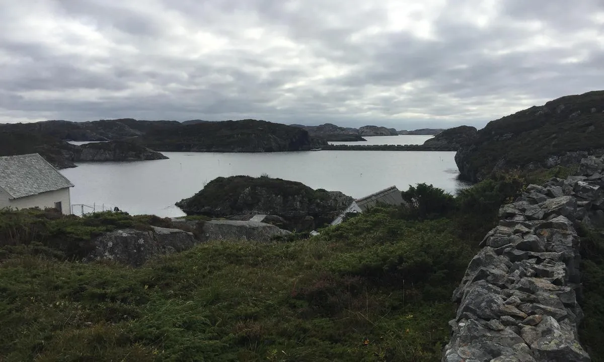 Hissøyna: {"base": "no", "no": "Innseiling bak neset \u00f8verst til venstre i bildet (i forlengelse av moloen). Flere grunner i innseilingen, disse er merket med private merker.", "se": "Insegling bakom n\u00e4set l\u00e4ngst upp till v\u00e4nster i bilden (i f\u00f6rl\u00e4ngningen av piren). Flera grund i inseglingen, dessa \u00e4r markerade med privata m\u00e4rken.", "en": "Approach behind the headland at the top left of the picture (in line with the breakwater). Several shallows in the approach, these are marked with private markers.", "da": "Indsejling bag n\u00e6sset \u00f8verst til venstre i billedet (i forl\u00e6ngelse af molen). Flere grunde i indsejlingen, disse er markeret med private m\u00e6rker."}