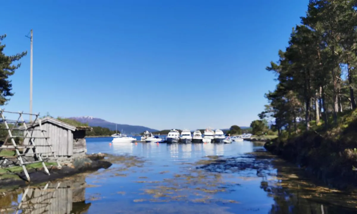 Hjertøya Betongbrygge: {"base": "no", "no": "Bilde av bryggeanlegg med b\u00e5ter.", "se": "Bild av brygganl\u00e4ggning med b\u00e5tar.", "en": "Image of a dock facility with boats.", "da": "Billede af bryggeanl\u00e6g med b\u00e5de."}
