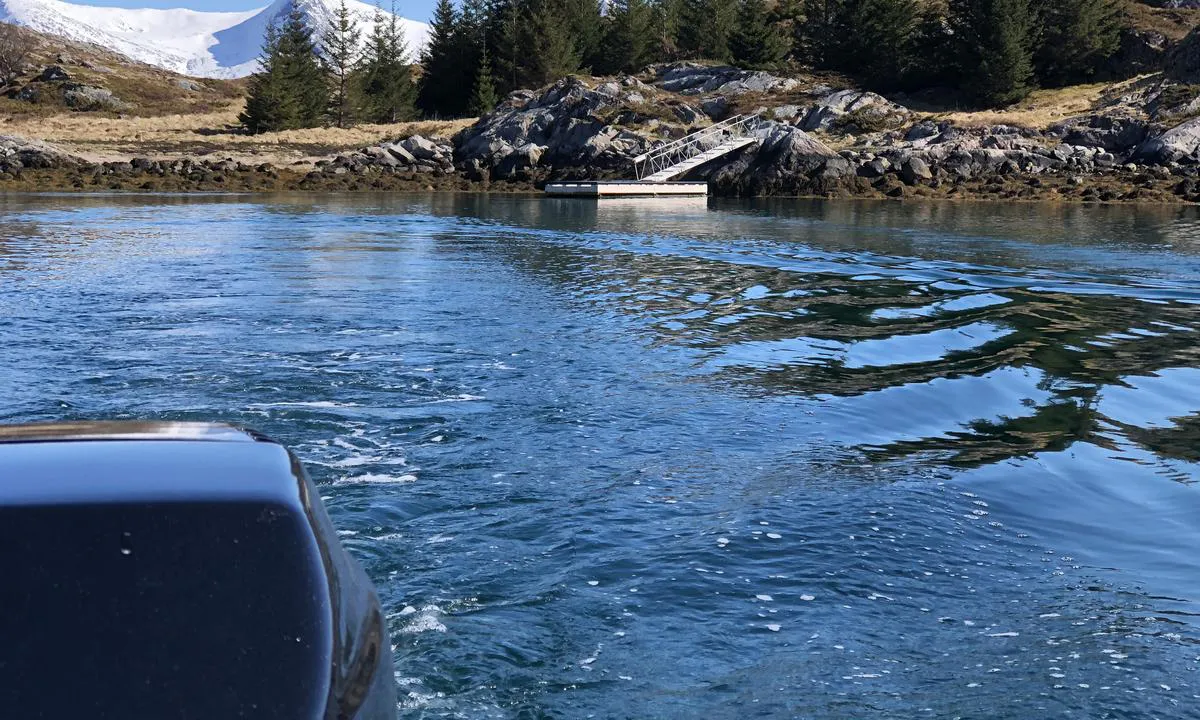 Hjartøyvågen Herøy: {"base": "no", "no": "Hjart\u00f8ya ligger idyllisk til p\u00e5 Helgelandskysten like ved Sandnessj\u00f8en. Her har du tilgang til et trygt og fint flytekai, samt kjempegode muligheter for grilling i fj\u00e6ra. I Hjart\u00f8yv\u00e5gen er det ogs\u00e5 gode muligheter for ankring av st\u00f8rre fart\u00f8y som ikke f\u00e5r plass ved flytekaiet.\r\nI sommersesongen kan man hilse p\u00e5 sauene som farter rundt p\u00e5 \u00f8ya, og samtidig oppleve vakker utsikt mot Sandnessj\u00f8en og de Syv S\u00f8stre.\r\n\r\nP\u00e5 bildet ser man flytekaiet ved Hjart\u00f8ya og den fine naturen rundt. Til venstre ser man et glimt av de Syv S\u00f8stre.\r\nBildet er tatt 21. mai 2020.", "se": "Hjart\u00f8ya ligger idylliskt till p\u00e5 Helgelandskusten n\u00e4ra Sandnessj\u00f8en. H\u00e4r har du tillg\u00e5ng till en s\u00e4ker och fin flytbrygga, samt utm\u00e4rkta m\u00f6jligheter f\u00f6r grillning vid stranden. I Hjart\u00f8yv\u00e5gen finns ocks\u00e5 goda m\u00f6jligheter f\u00f6r f\u00f6rankring av st\u00f6rre fartyg som inte f\u00e5r plats vid flytbryggan.</p><p>Under sommars\u00e4songen kan man h\u00e4lsa p\u00e5 f\u00e5ren som r\u00f6r sig runt p\u00e5 \u00f6n och samtidigt uppleva vacker utsikt mot Sandnessj\u00f8en och de Sju Systrarna.</p><p>P\u00e5 bilden ser man flytbryggan vid Hjart\u00f8ya och den fina naturen runt omkring. Till v\u00e4nster ser man en glimt av de Sju Systrarna.</p><p>Bildet \u00e4r taget den 21 maj 2020.", "en": "Hjart\u00f8ya is idyllically located on the Helgeland coast near Sandnessj\u00f8en. Here you have access to a safe and nice floating dock, as well as great opportunities for grilling on the shore. In Hjart\u00f8yv\u00e5gen, there are also good possibilities for anchoring larger vessels that cannot find space at the floating dock. During the summer season, you can greet the sheep roaming around the island and at the same time enjoy a beautiful view towards Sandnessj\u00f8en and the Seven Sisters. In the picture, you can see the floating dock at Hjart\u00f8ya and the beautiful nature around. To the left, you can catch a glimpse of the Seven Sisters. The picture was taken on May 21, 2020.", "da": "Hjart\u00f8ya ligger idyllisk til p\u00e5 Helgelandskysten lige ved Sandnessj\u00f8en. Her har du adgang til en sikker og flot flydebro samt fantastiske muligheder for grillning i fj\u00e6ren. I Hjart\u00f8yv\u00e5gen er der ogs\u00e5 gode muligheder for ankring af st\u00f8rre fart\u00f8jer, som ikke kan f\u00e5 plads ved flydebroen.<br><br>I sommers\u00e6sonen kan man hilse p\u00e5 f\u00e5rene, som f\u00e6rdes rundt p\u00e5 \u00f8en, og samtidig opleve en smuk udsigt mod Sandnessj\u00f8en og de Syv S\u00f8stre.<br><br>P\u00e5 billedet ser man flydebroen ved Hjart\u00f8ya og den flotte natur omkring. Til venstre ser man et glimt af de Syv S\u00f8stre.<br>Billedet er taget 21. maj 2020."}