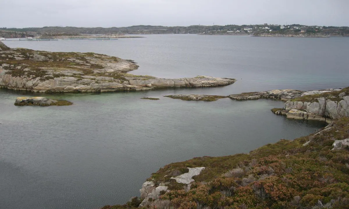 Hjelmo: {"base": "no", "no": "Her sees innseilingen.", "se": "H\u00e4r syns infarten.", "en": "Here the entrance to the harbor can be seen.", "da": "Her ses indsejlingen."}