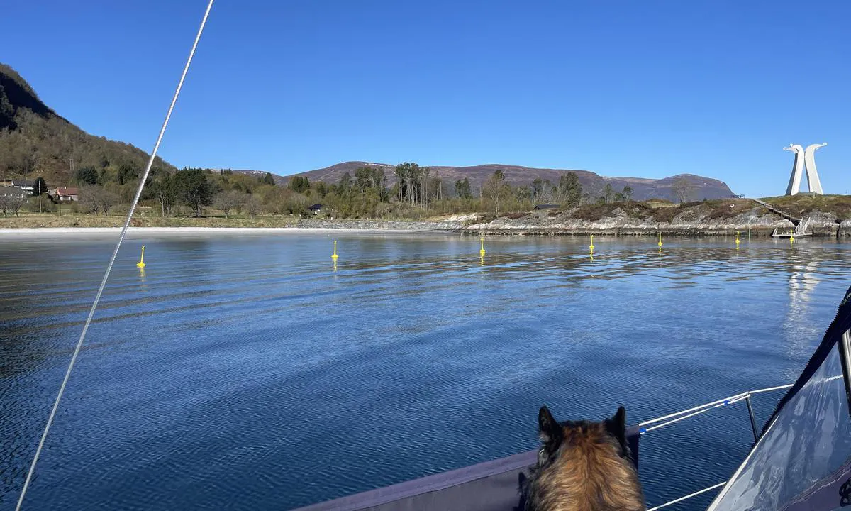 Hjørungavågen: Ovrasanden Hjørungavåg, en flott strand med badebrygge