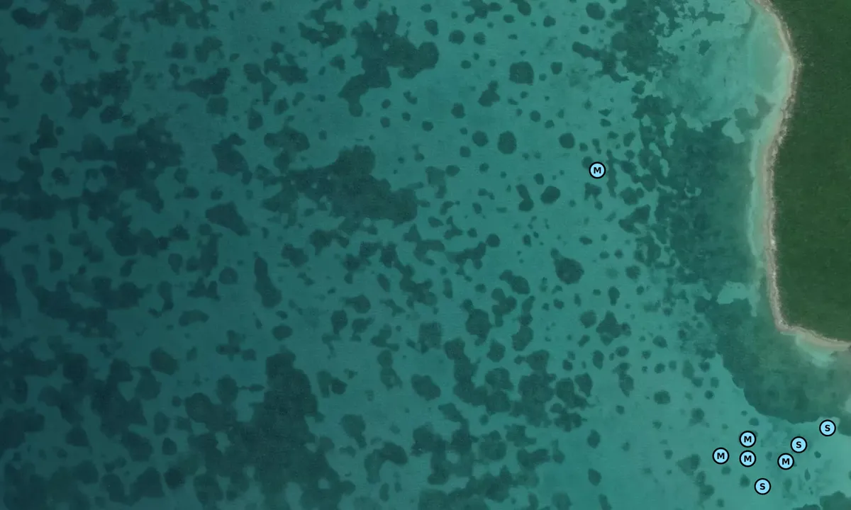 Satelite image of Hoffman's Cay - 1