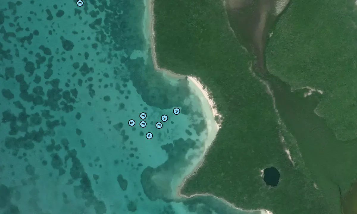 Satelite image of Hoffman's Cay - 2