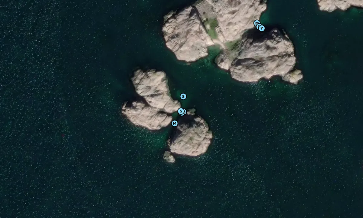 Satelite image of Höga Vassholmen