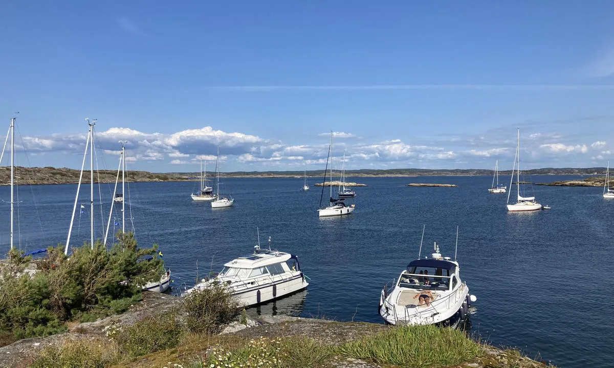 Högö - SXK Västkust bouy: {"base": "en", "no": "Hyggelig sommernatt her i H\u00f6g\u00f6, ingen problemer med ankerfeste... det er mye leire p\u00e5 bunnen.", "se": "Trevlig sommarkv\u00e4ll h\u00e4r i H\u00f6g\u00f6, inga problem med ankarf\u00e4ste... det \u00e4r mycket gyttja p\u00e5 botten.", "en": "Nice summer night here in H\u00f6g\u00f6, no problem with anker hold\u2026\u2026 there\u2019s a lot of mud at the bottom.", "da": "Dejlig sommeraften her i H\u00f6g\u00f6, ingen problemer med ankerhold...... der er meget mudder p\u00e5 bunden."}