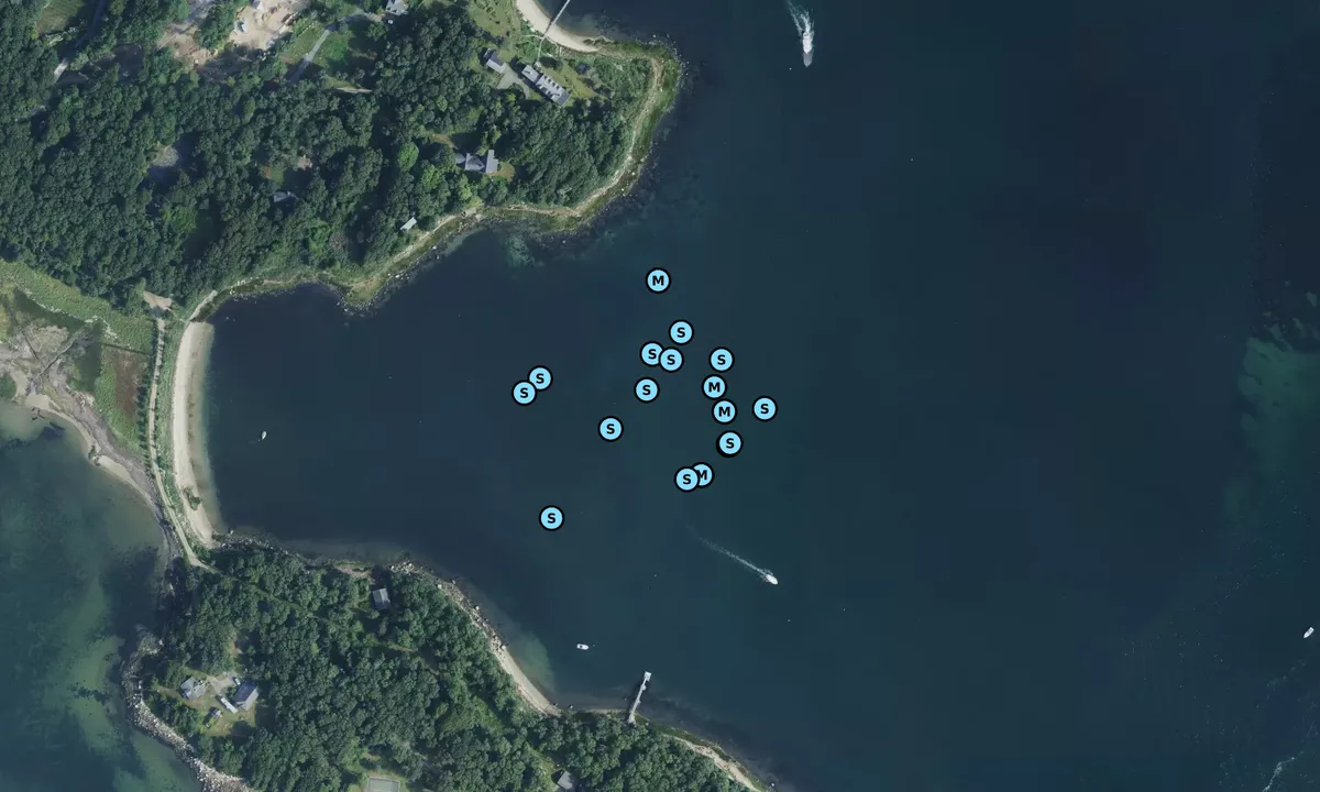 Satelite image of Hogs Neck