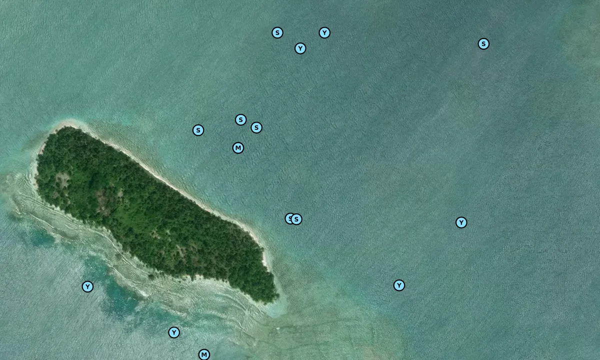 Satelite image of Holandes Cays East