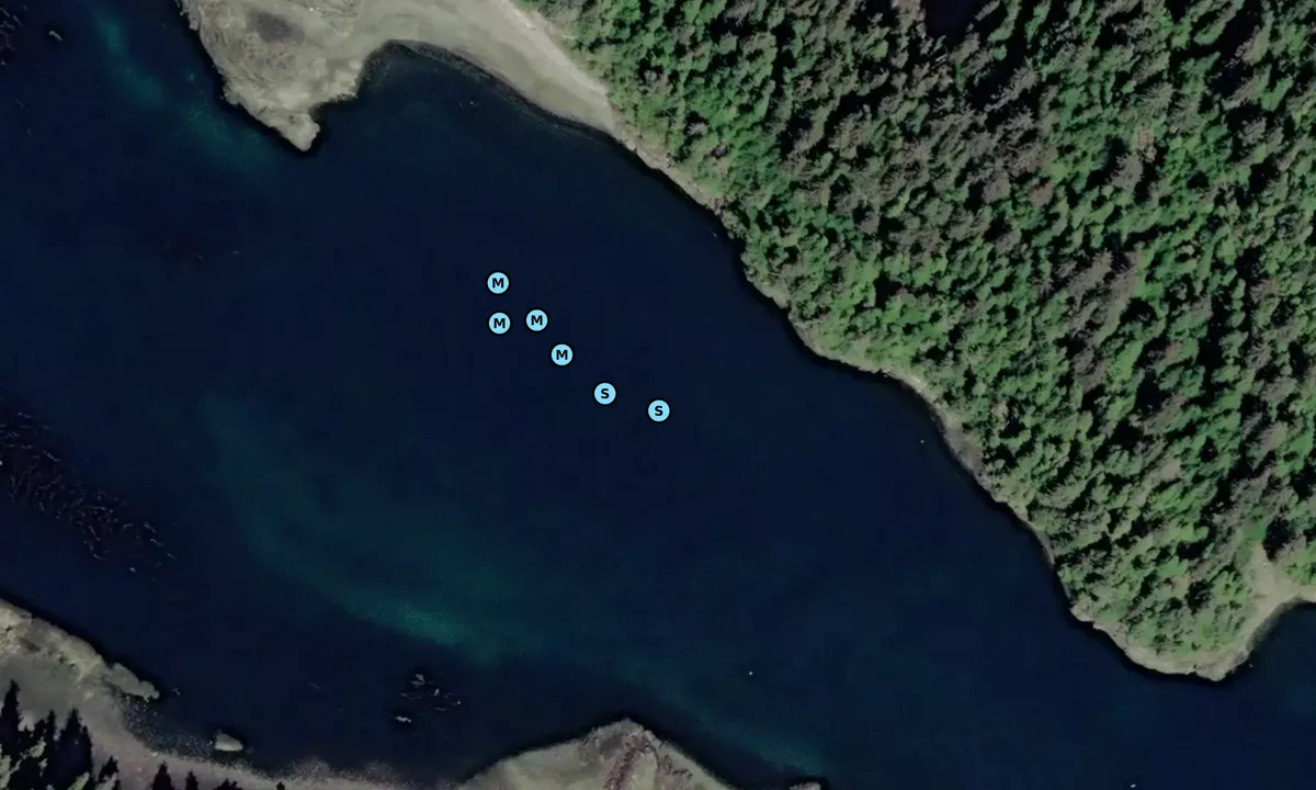 Satelite image of Honey Dew Backup