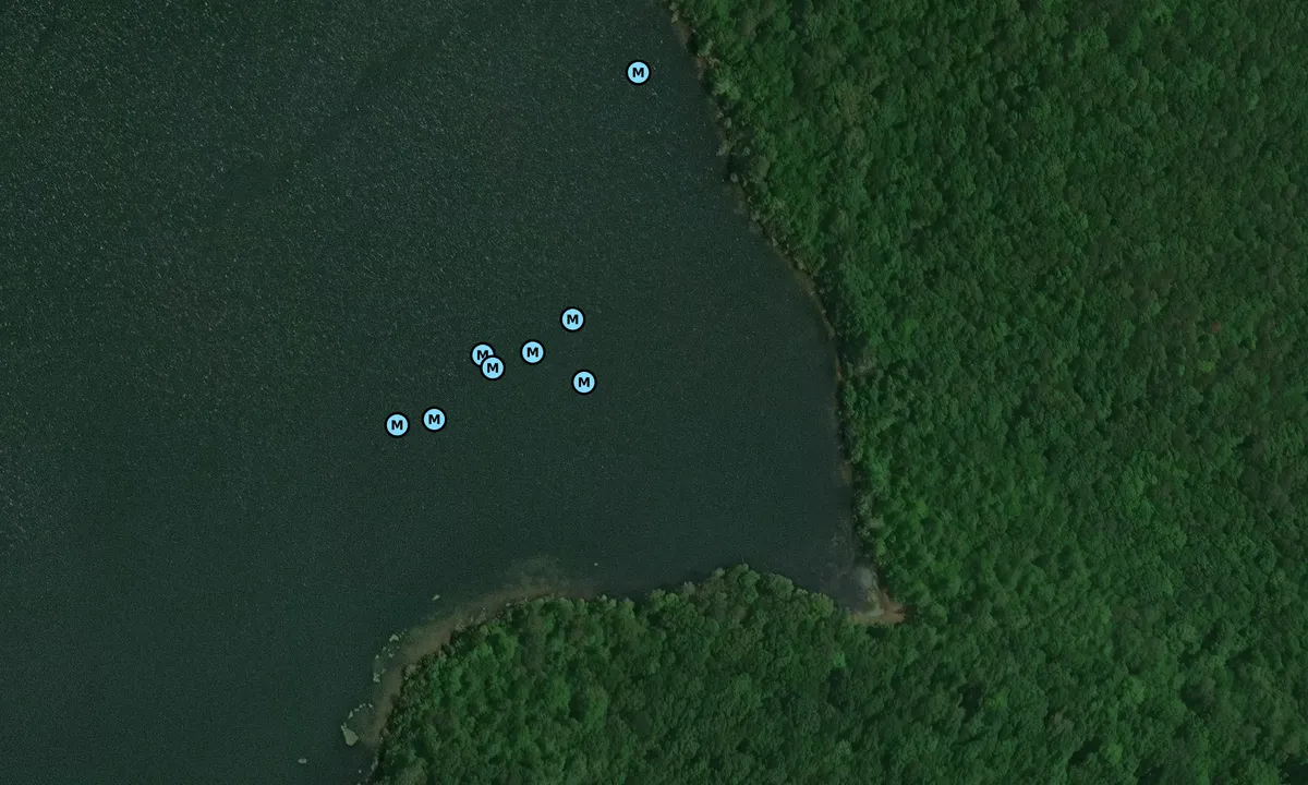 Satelite image of Honeycomb North Slough
