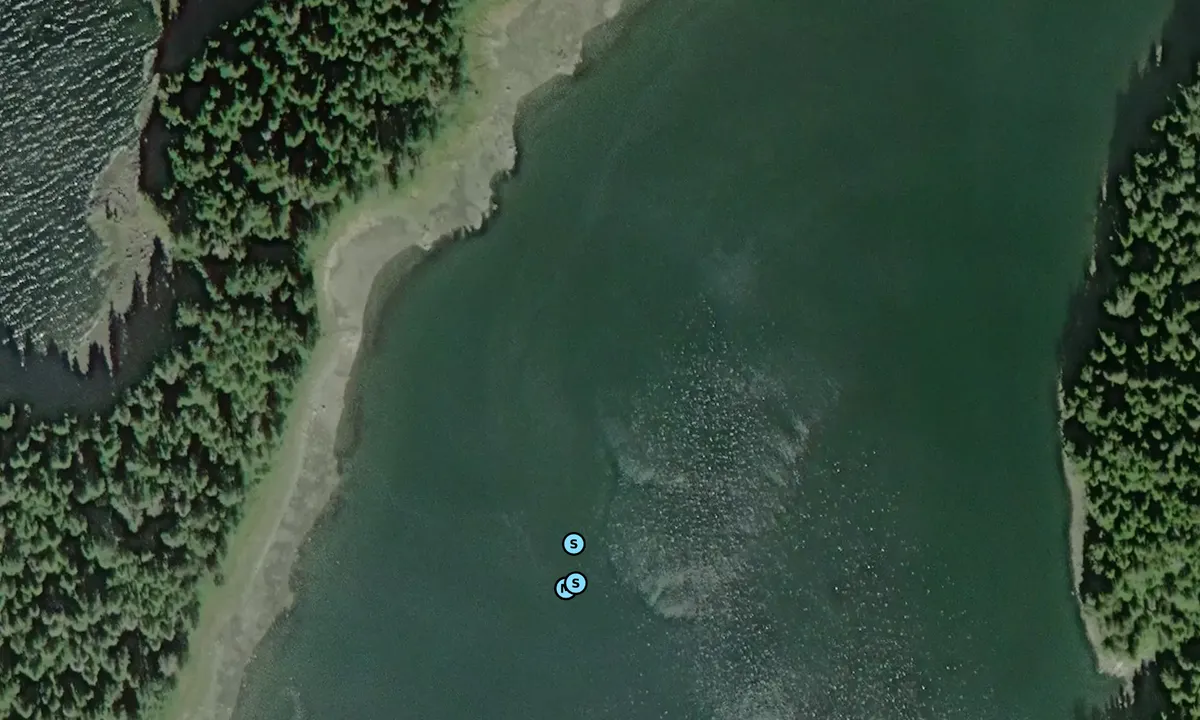 Satelite image of Honkers Cove