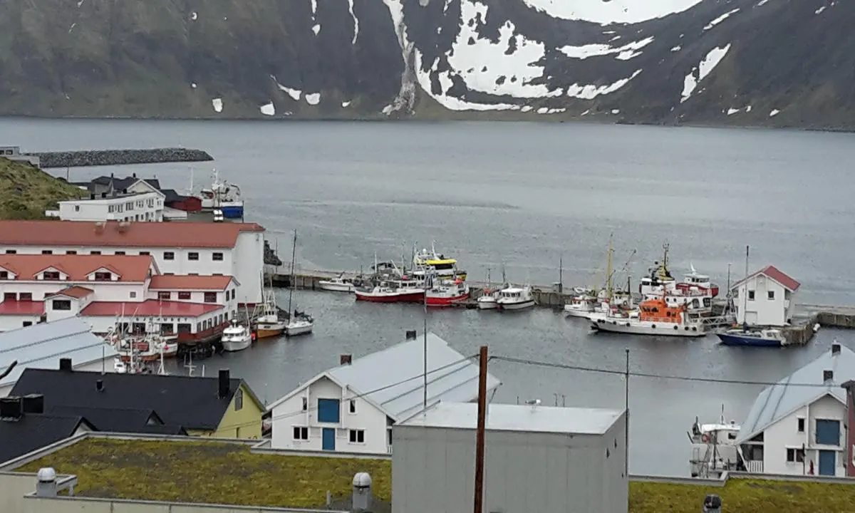 Honningsvåg