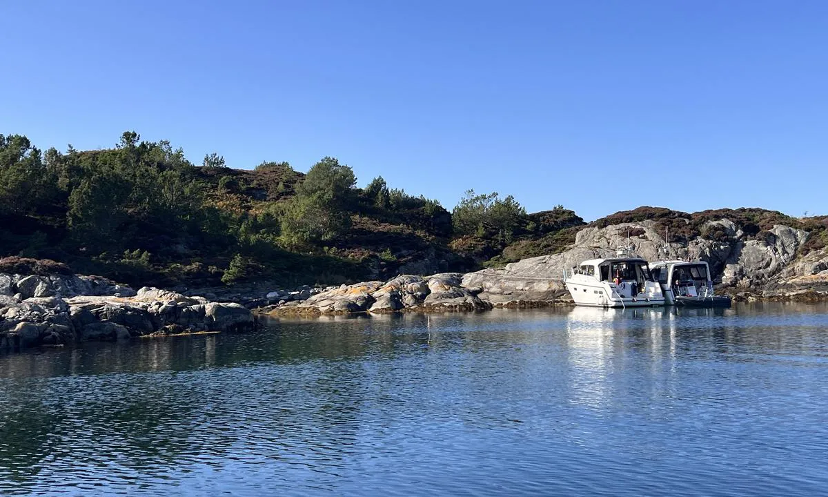 Horgo - Austrevågen: {"base": "no", "no": "Ytterst ved innseilingen", "se": "Ytterst vid inloppet", "en": "At the outermost point by the approach", "da": "Yderst ved indsejlingen", "fr": "\u00c0 l'ext\u00e9rieur \u00e0 l'entr\u00e9e du port", "de": "\u00c4u\u00dferst bei der Einfahrt", "es": "En el extremo de la entrada", "it": "All'estremit\u00e0 dell'ingresso", "pt": "Na entrada externa", "nl": "Aan de buitenkant bij de ingang van de haven", "pl": "Najdalej na wej\u015bciu do portu", "uk": "\u0417\u043e\u0432\u043d\u0456 \u043f\u0440\u0438 \u0432\u0445\u043e\u0434\u0456 \u0432 \u0433\u0430\u0432\u0430\u043d\u044c", "ro": "La intrarea din larg", "tr": "Giri\u015fte en d\u0131\u015fta", "el": "\u03a3\u03c4\u03b7\u03bd \u03b5\u03be\u03c9\u03c4\u03b5\u03c1\u03b9\u03ba\u03ae \u03b5\u03af\u03c3\u03bf\u03b4\u03bf", "cs": "Na konci p\u0159i vplouv\u00e1n\u00ed", "hu": "A bej\u00e1ratn\u00e1l, az eg\u00e9szen a k\u00fcls\u0151 r\u00e9szen", "fi": "Aivan sis\u00e4\u00e4najon \u00e4\u00e4rell\u00e4", "bg": "\u0412\u044a\u043d\u0448\u043d\u043e \u043f\u0440\u0438 \u0432\u043b\u0438\u0437\u0430\u043d\u0435", "sr": "\u041d\u0430 \u0441\u0430\u043c\u043e\u043c \u0443\u043b\u0430\u0437\u0443", "et": "V\u00e4limine osa sissep\u00e4\u00e4sul", "lv": "\u0100rpus\u0113 pie ieejas", "lt": "Pa\u010diame \u012fplaukimo gale"}