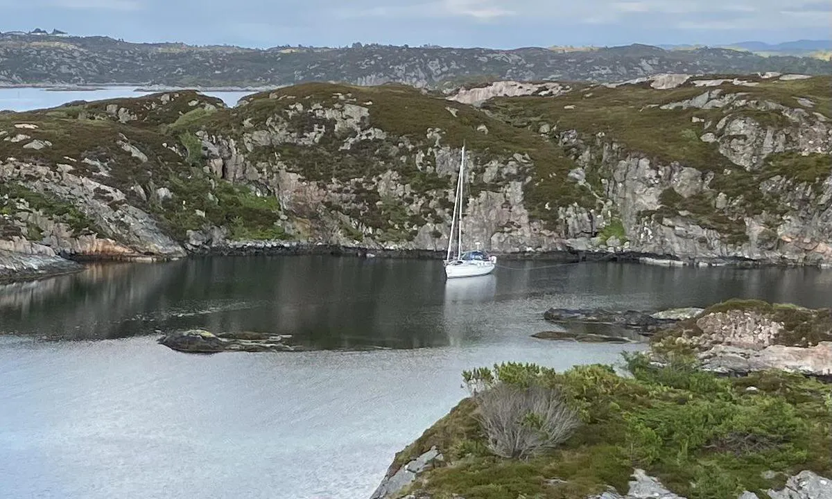 Horgo - Austrevågen