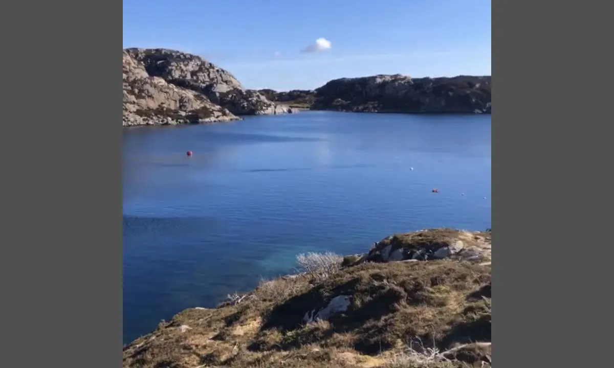 {"base": "no", "no": "Utsikt over den vestlige bukta p\u00e5 Horgo.", "se": "Utsikt \u00f6ver den v\u00e4stra bukten p\u00e5 Horgo.", "en": "View over the western bay at Horgo.", "da": "Udsigt over den vestlige bugt p\u00e5 Horgo."}