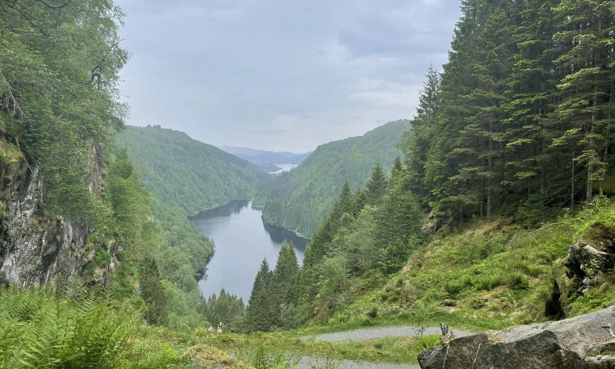 Hosanger: {"base": "no", "no": "Mange fine turomr\u00e5der, b\u00e5de enkle som denne eller mer krevende som Tveitafjellet.", "se": "M\u00e5nga fina turomr\u00e5den, b\u00e5de enkla som denna eller mer kr\u00e4vande som Tveitafjellet.", "en": "Many beautiful hiking areas, both easy ones like this or more challenging ones like Tveitafjellet.", "da": "Mange fine turomr\u00e5der, b\u00e5de enkle som denne eller mere kr\u00e6vende som Tveitafjellet."}