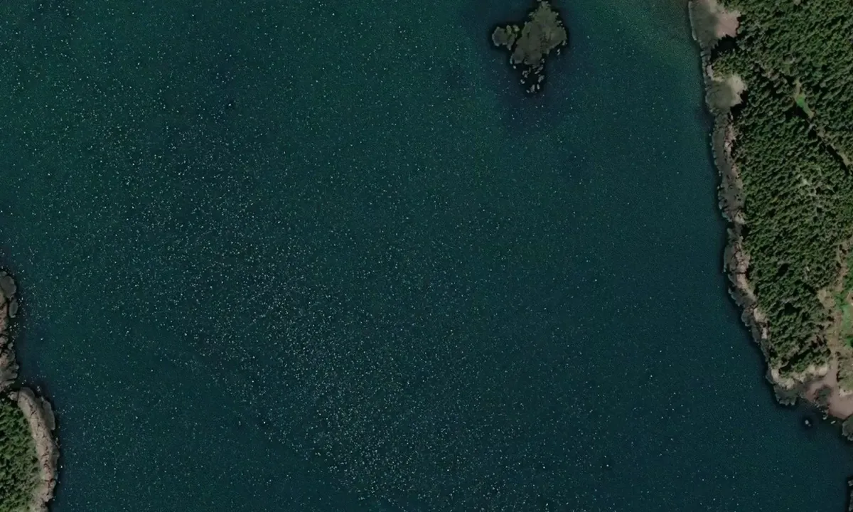 Satelite image of Howard Cove